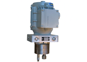 WOERNER�ؼ{GFZϵ���X݆��